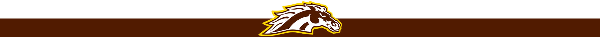 Western Michigan - Hockey