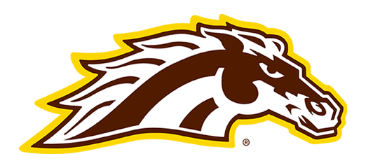 Western Michigan - Hockey